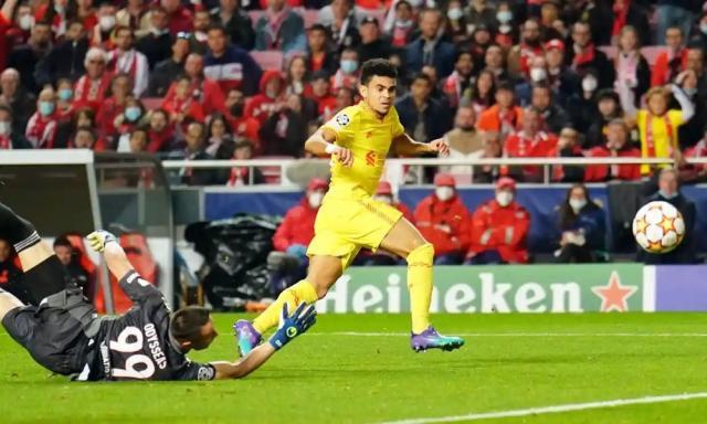 1649207212530066662.jpg 1649206805292.jpg